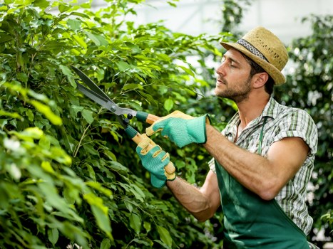 Gardener preparing soil for planting in Forest Hill